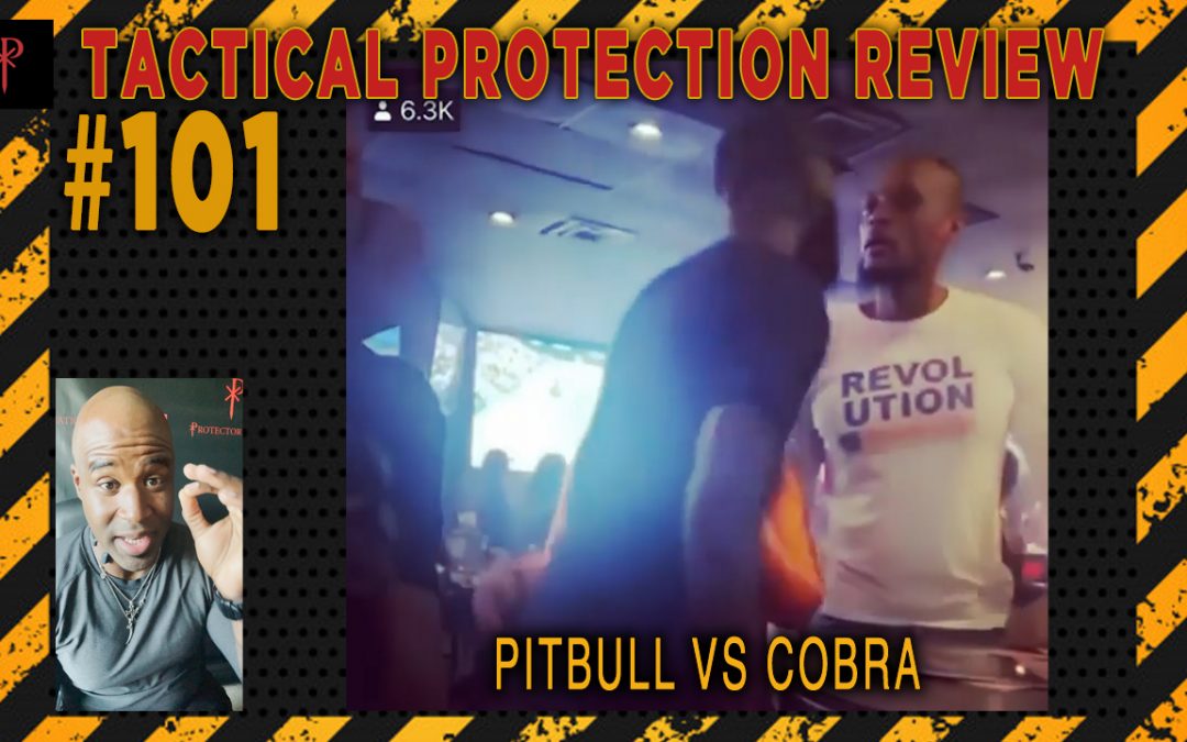 Pitbull VS Cobra – Tactical Protection Review