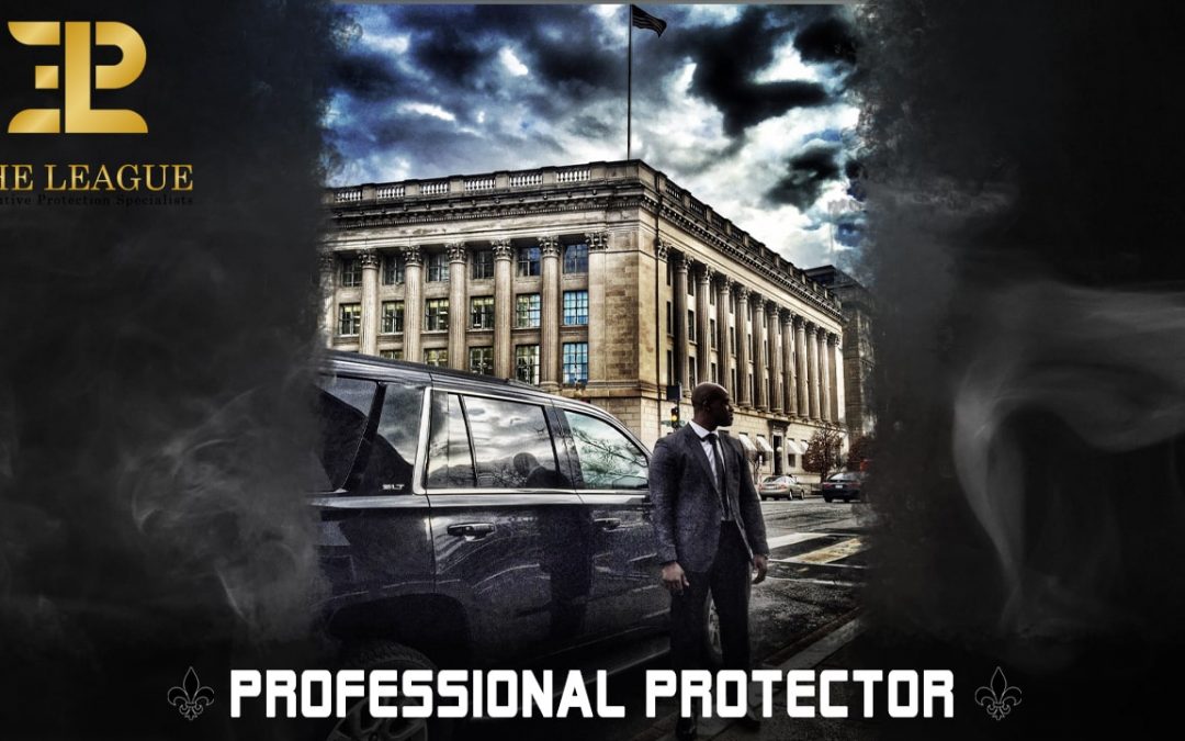Professional Protector