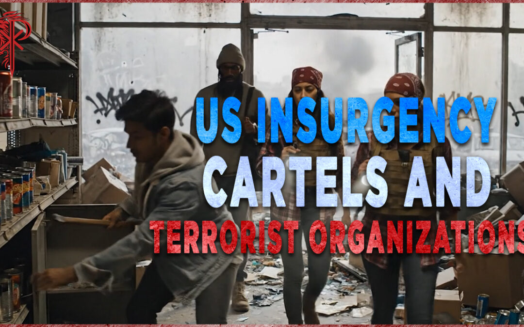 US INSURGENCY Cartels and terrorist organizations TACTICAL review